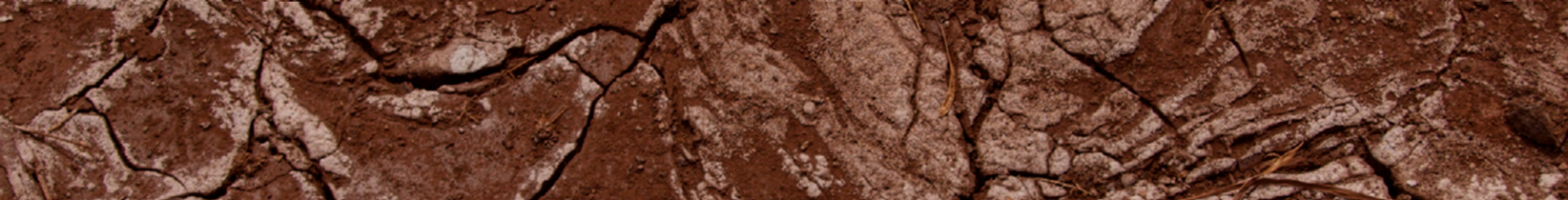 Soil