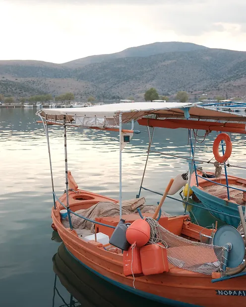 boats